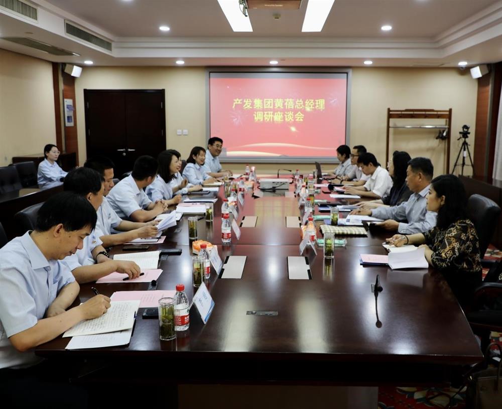 集團黨委副書記、總經(jīng)理黃蓓帶隊調(diào)研濟南市工程咨詢院