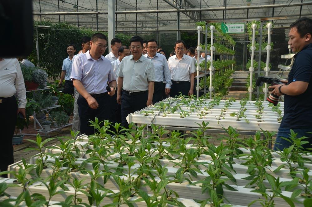 科技助農(nóng)，播撒光的種子  精準(zhǔn)扶貧，助力鄉(xiāng)村振興